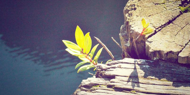 智能制造时代，德茂机械制造如何通过工业设备数据采集技术实现降本增效？