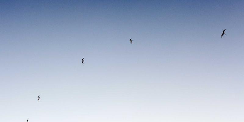 智能巡检机器人：如何突破视觉、导航与诊断算法瓶颈，赋能精密加工与自动化设备