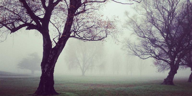 精密制造的核心引擎：高精度伺服系统参数整定与性能优化全攻略