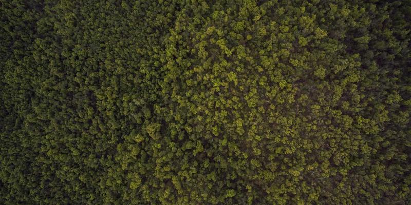 精密加工新引擎:德茂工业机器人离线编程与仿真软件选型及导入全攻略