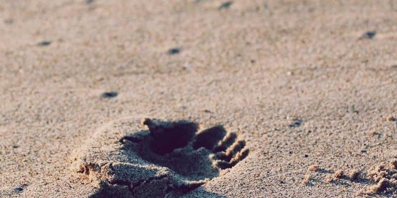 超越采购价：构建工业设备全生命周期成本模型，实现自动化投资回报最大化